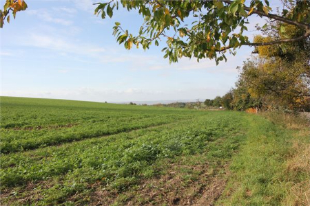 Sie wollen Ihre Ruhe am Stadtrand von Dresden haben?